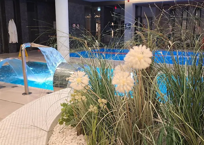 Polanki Aqua Z Garazem, Basen, Strefa